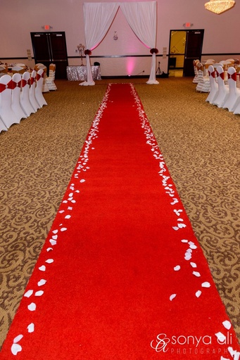 Red Carpet Runner